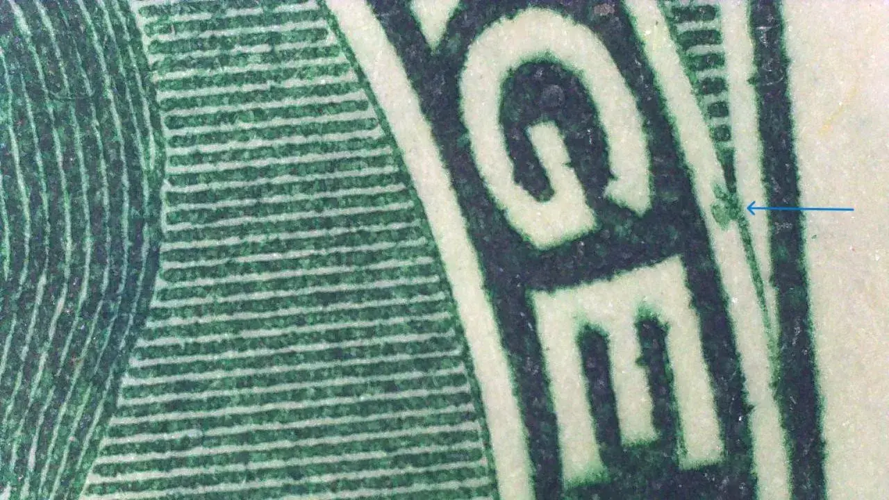 Image provided by Steve Hellsten